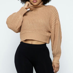 FALL TURTLE NECK CROP TOP SWEATER