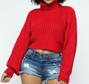 FALL TURTLE NECK CROP TOP SWEATER